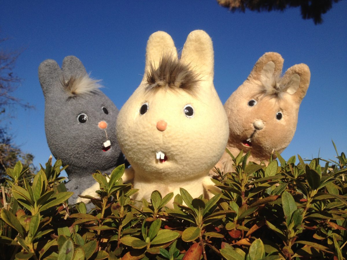 はっぱのおてがみ